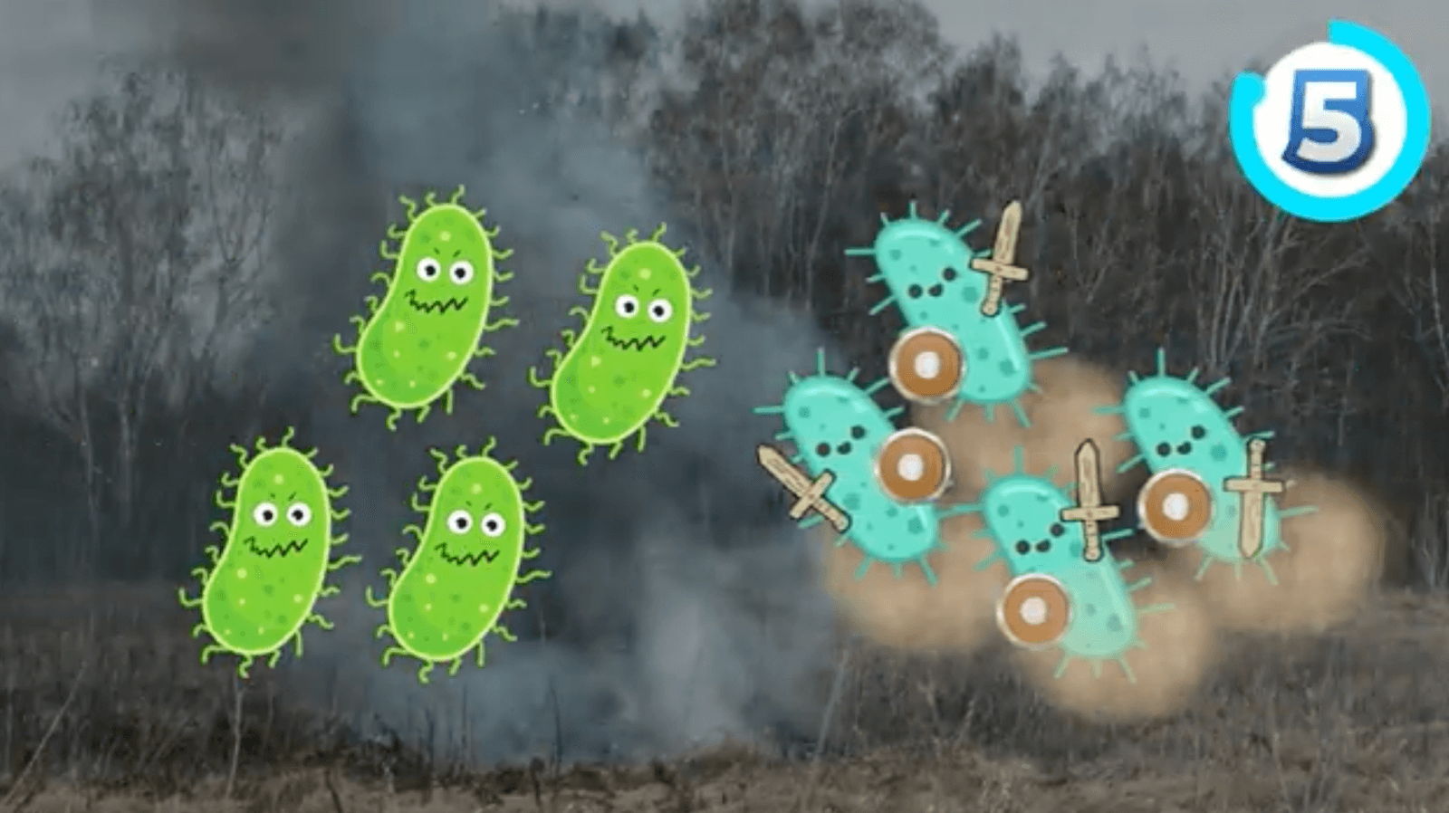 Cartoon depiction of immune system antibodies