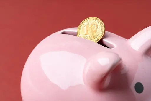 piggy bank with coin going into it